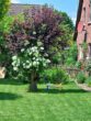 Schwarzenbek! Top-saniertes Schmuckstück mit traumhaftem Garten! - NKK - Gartenimpressionen