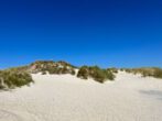 Amrum! Mehrfamilienhaus mit zwei Ferienwohnungen auf der deutschen Trauminsel! - NKK - Amrum-Impressionen.